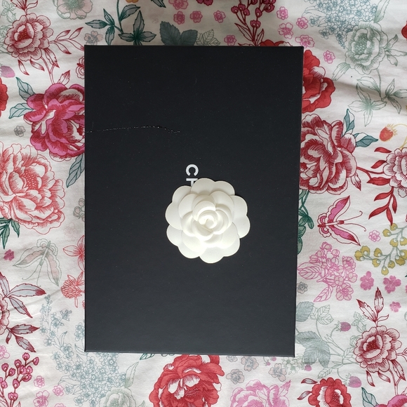 Chanel Mini O light pink handbag gold handle bar - Picture 9 of 10